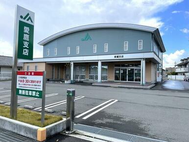 ＪＡふじ伊豆愛鷹支店