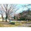 公園