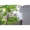 共有部分