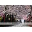 周辺環境