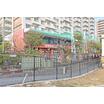 幼稚園、保育園