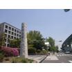 大学
