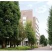 大学