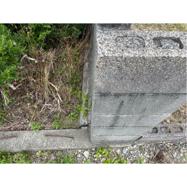 敷地後方の境界付近です。