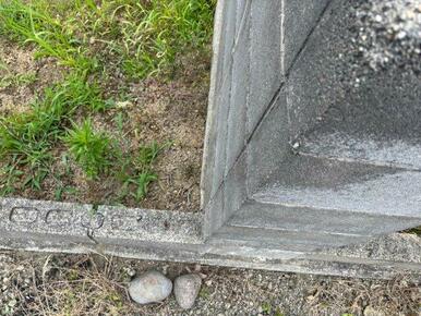 敷地後方の境界付近です。