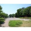 公園
