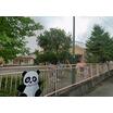 幼稚園、保育園