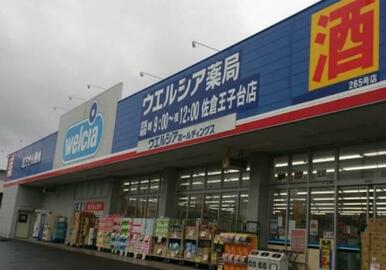 ウエルシア佐倉王子台店