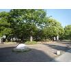 公園