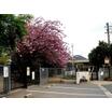 幼稚園、保育園