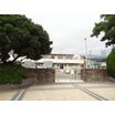 幼稚園、保育園