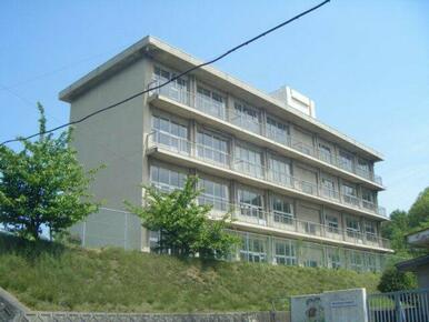 野々浜小学校