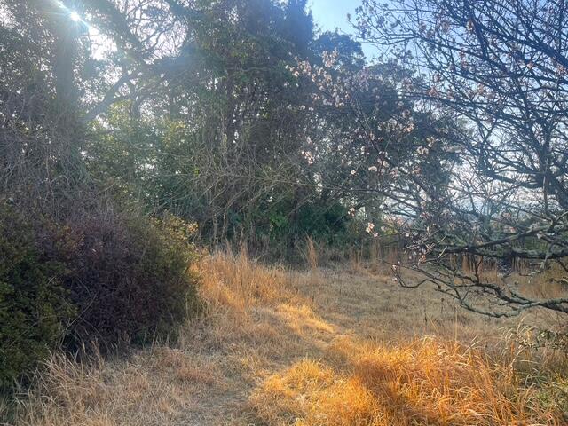 物件画像 行橋市 東泉５丁目 (新田原駅) マンション用地