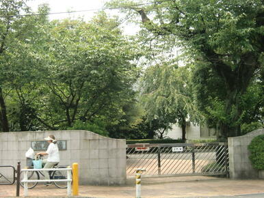 私立桐朋学園芸術短期大学