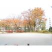 公園