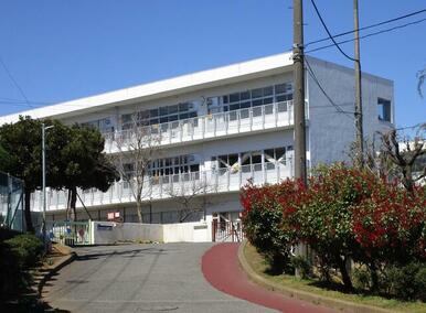 秦野市立渋沢小学校