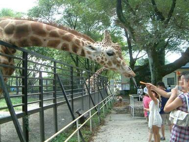 動物園