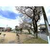 周辺環境