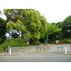 公園