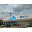 販売店
