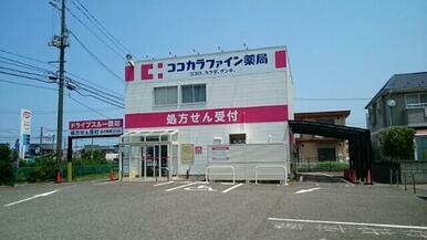 ココカラファイン薬局寺地店