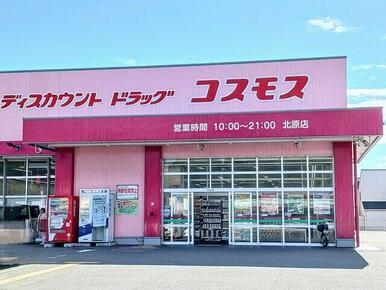 コスモス