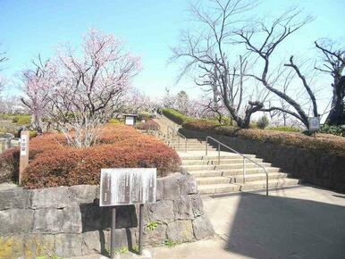 区立羽根木公園