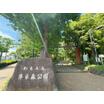 公園