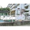 幼稚園、保育園