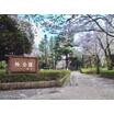 公園