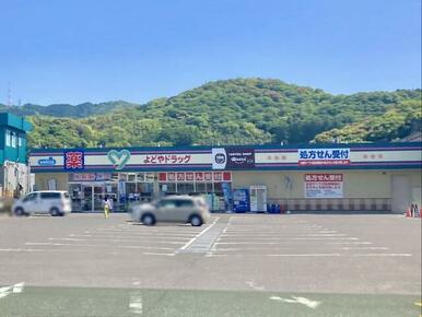 よどやドラッグ高知土佐道路店