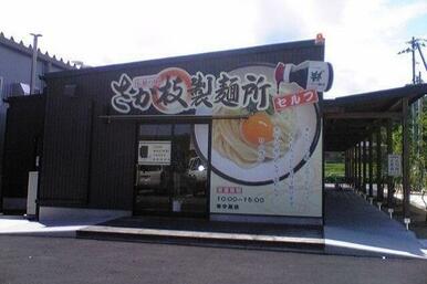 さか枝うどんさん