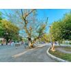 公園