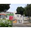 幼稚園、保育園