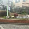 公園