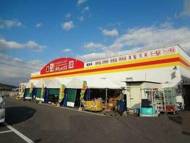 ダイレックス 鹿島店