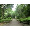 公園