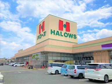ハローズ新涯店