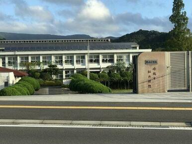 郡元中学校
