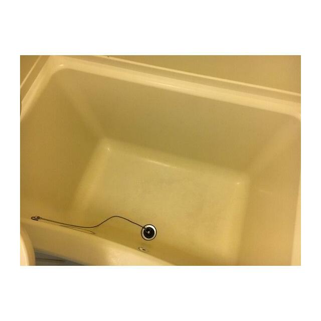 バス