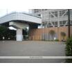 周辺環境
