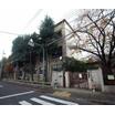 小学校