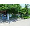 幼稚園、保育園
