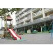 幼稚園、保育園