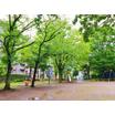 公園