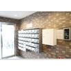 周辺環境