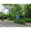 公園