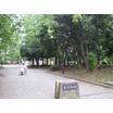 公園