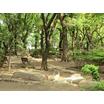 公園
