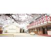 幼稚園、保育園
